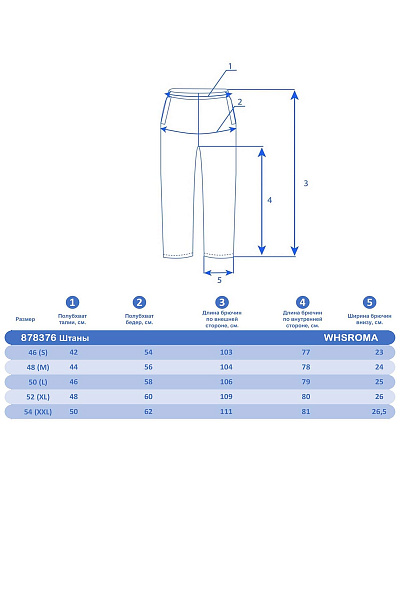 Мужские горнолыжные Штаны WHS Серый, 878376