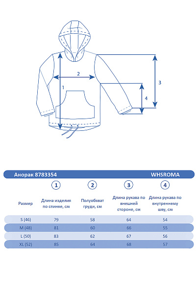 Мужской горнолыжный Анорак WHS Синий, 8783354