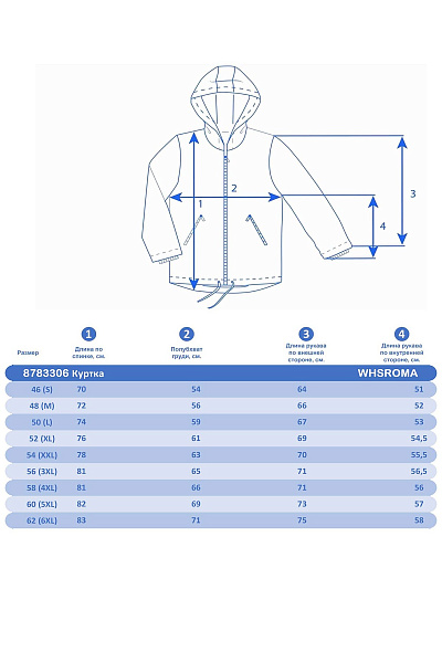 Мужская горнолыжная Куртка WHS Синий, 8783306