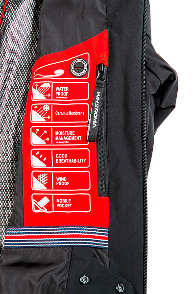 Мужская горнолыжная Куртка WHS Черный, 8783351