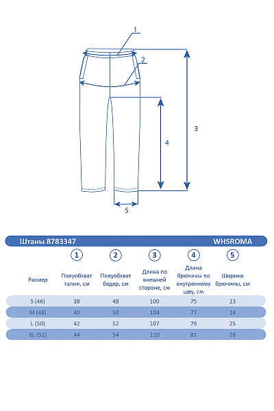 Мужские горнолыжные Штаны WHS Темно-синий, 8783347