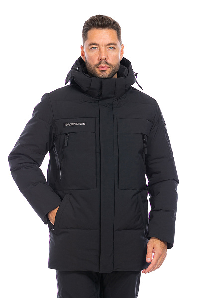 Мужской зимний Пуховик WHS Черный, 8783346
