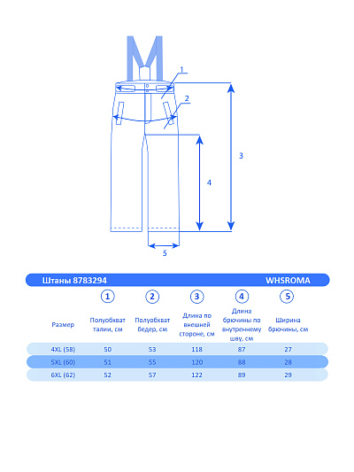 Мужские горнолыжные Штаны WHS Черный, 8783294