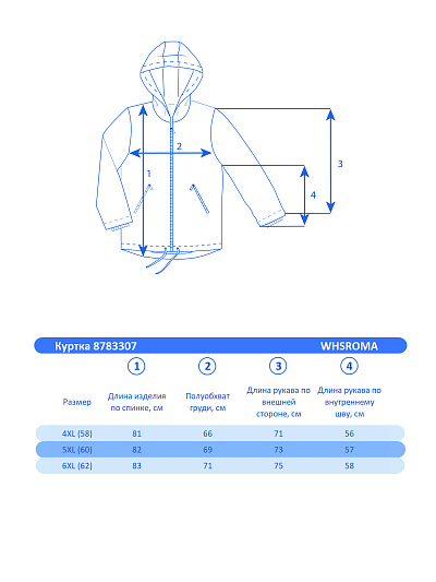 Мужская горнолыжная Куртка WHS Синий, 8783307