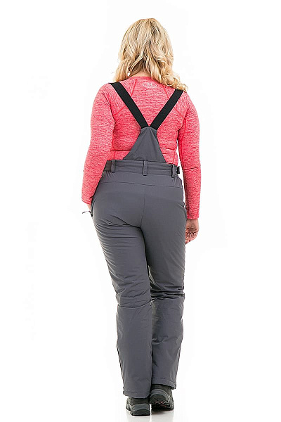 Женские горнолыжные Штаны High Experience Серый, 6980211