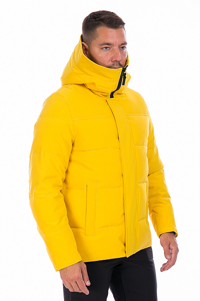 Мужской зимний Пуховик WHS Желтый, 8783200
