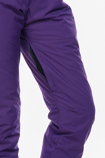 Женские горнолыжные Штаны High Experience Фиолетовый, 6980324
