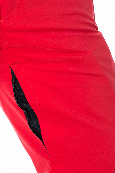 Мужские горнолыжные Штаны WHS Красный, 8783189