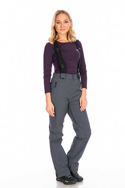 Женские горнолыжные Штаны WHS Серый, 8783316