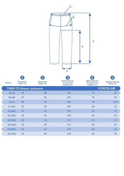 Штаны Forcelab Темно-серый, 7066173